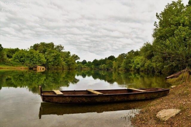 Can e-commerce help save the planet?